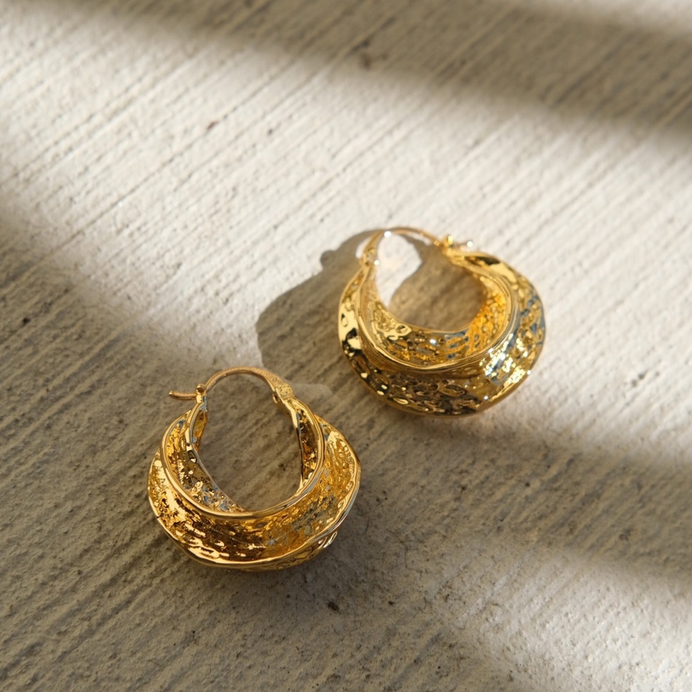 Elegant Gold and Silver Hoop Earrings